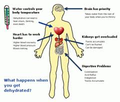Dehydration Facts